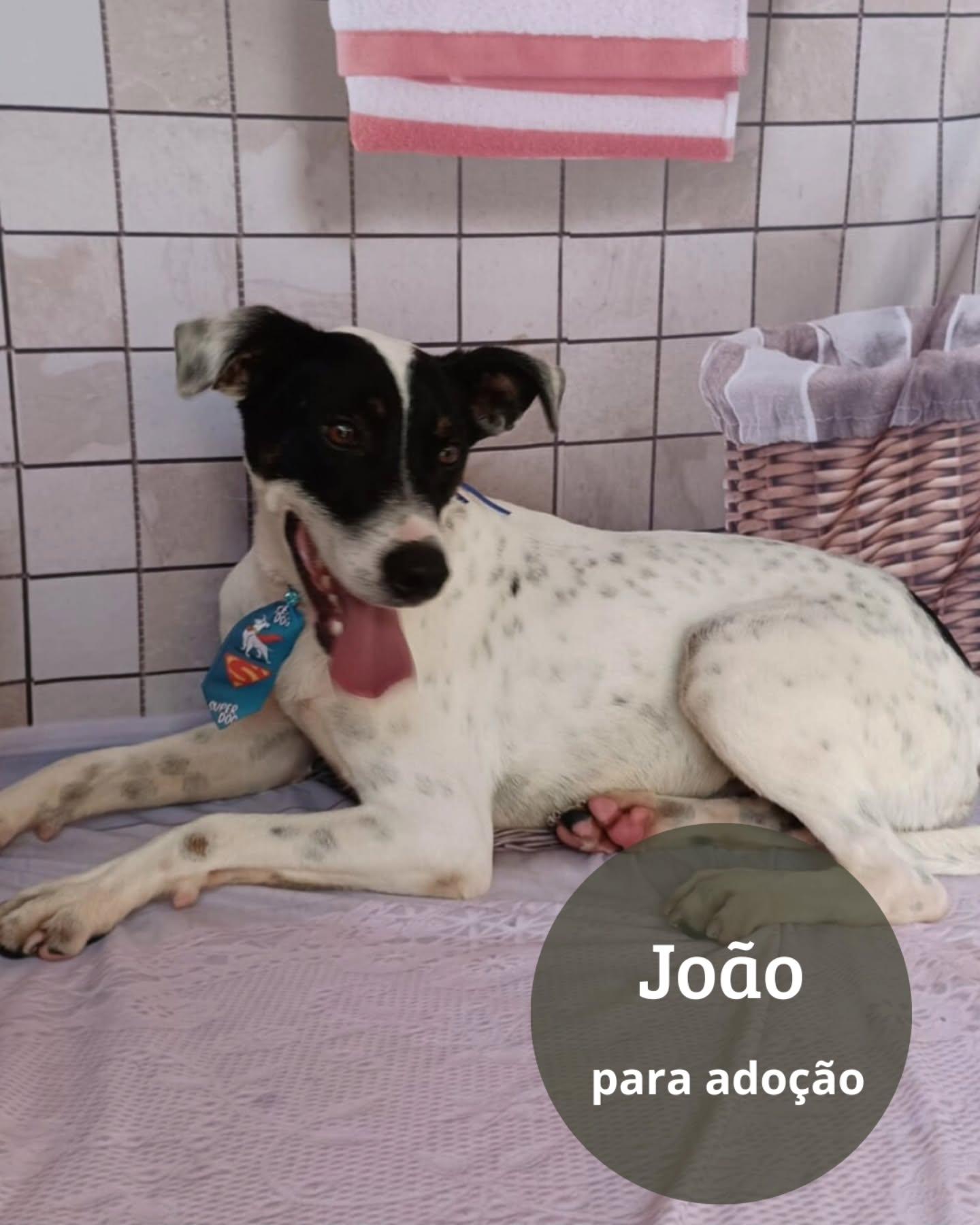 João