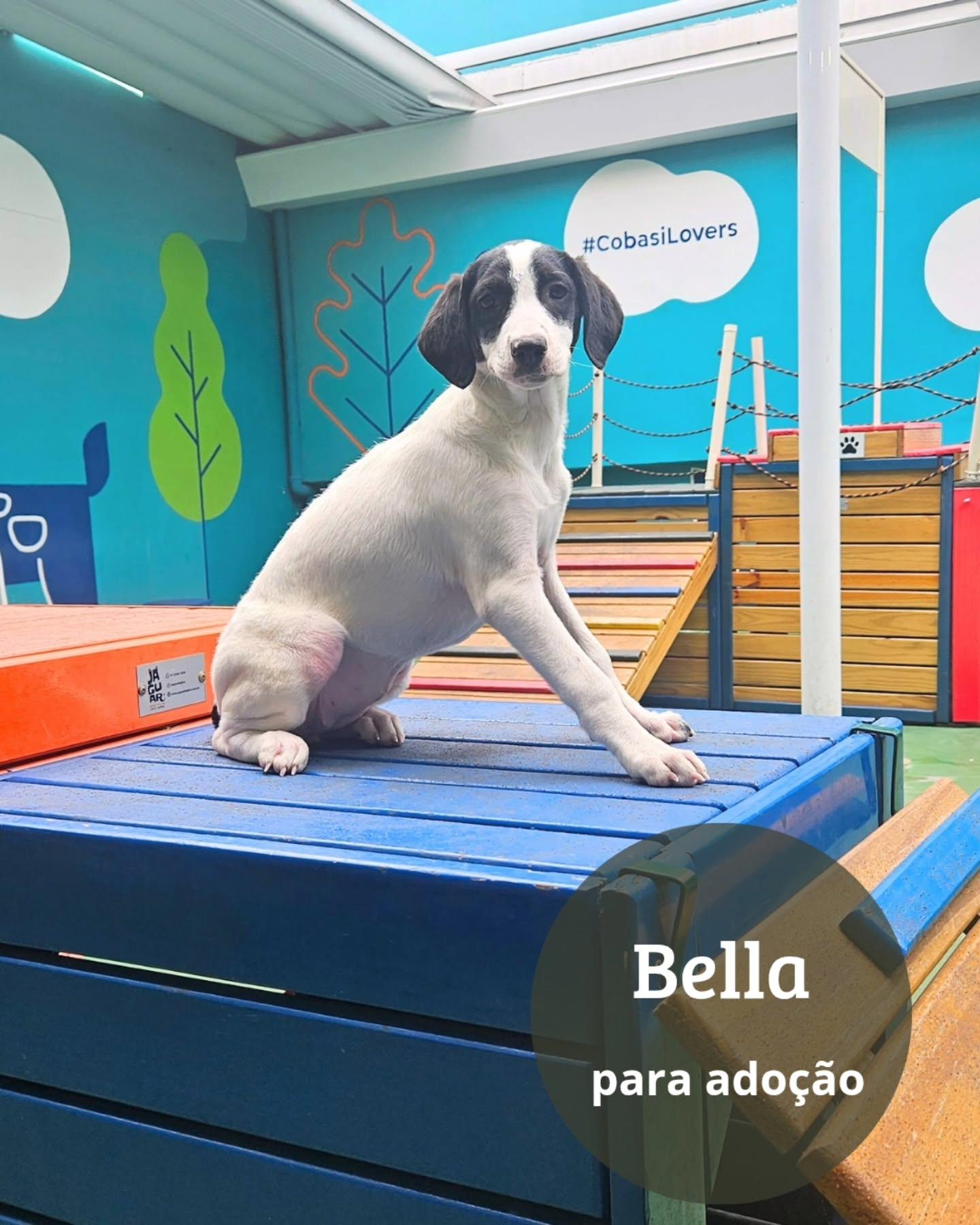 Bela