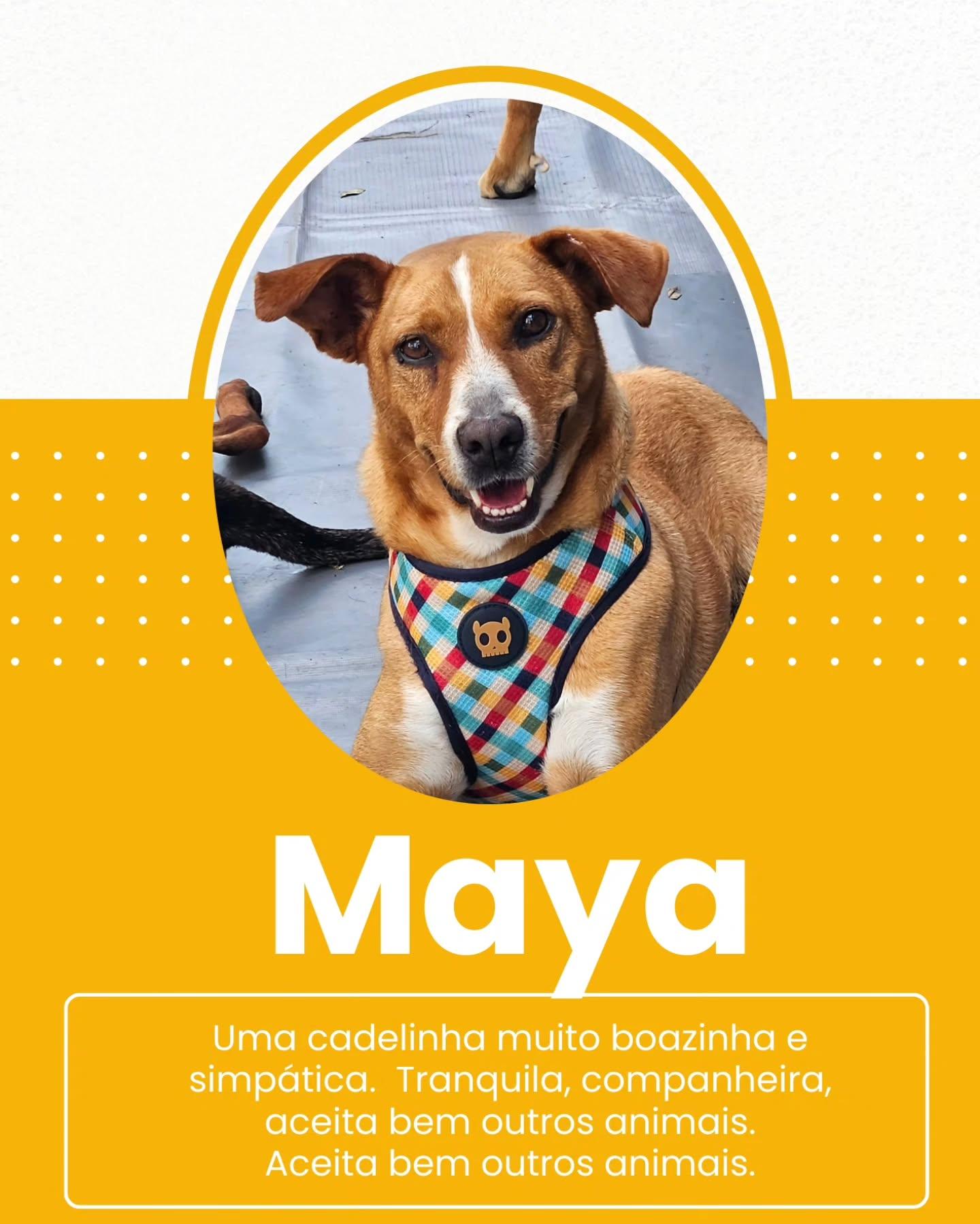 Maya