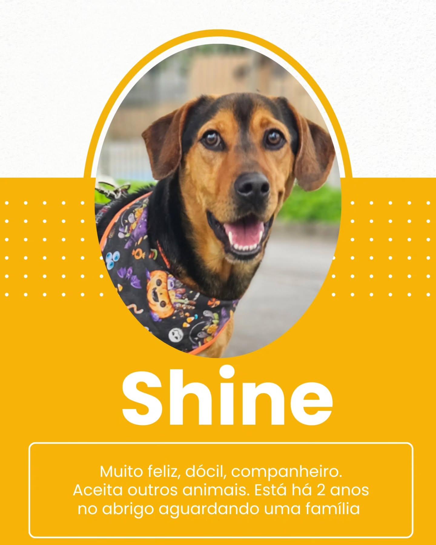 Shine