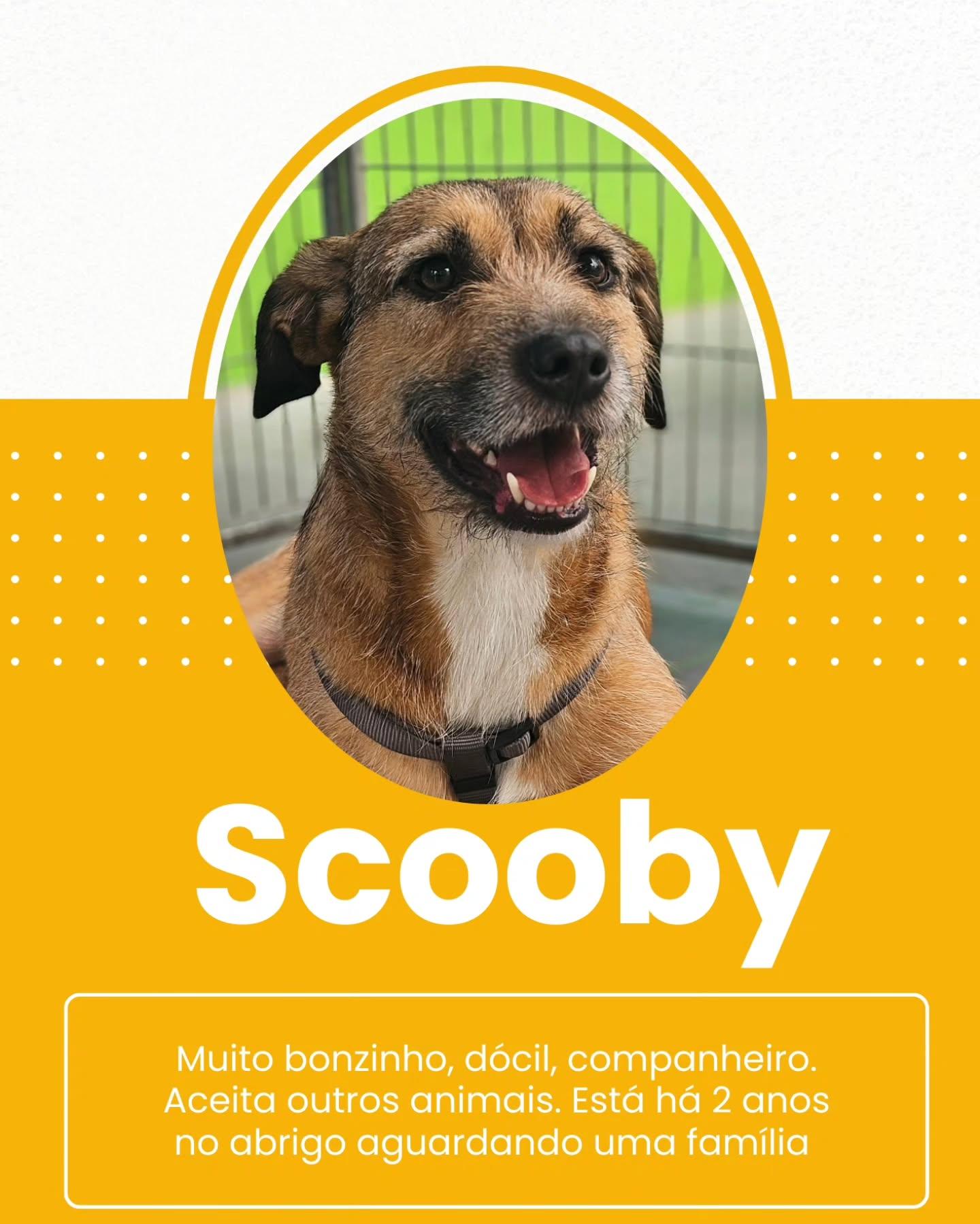 Scooby