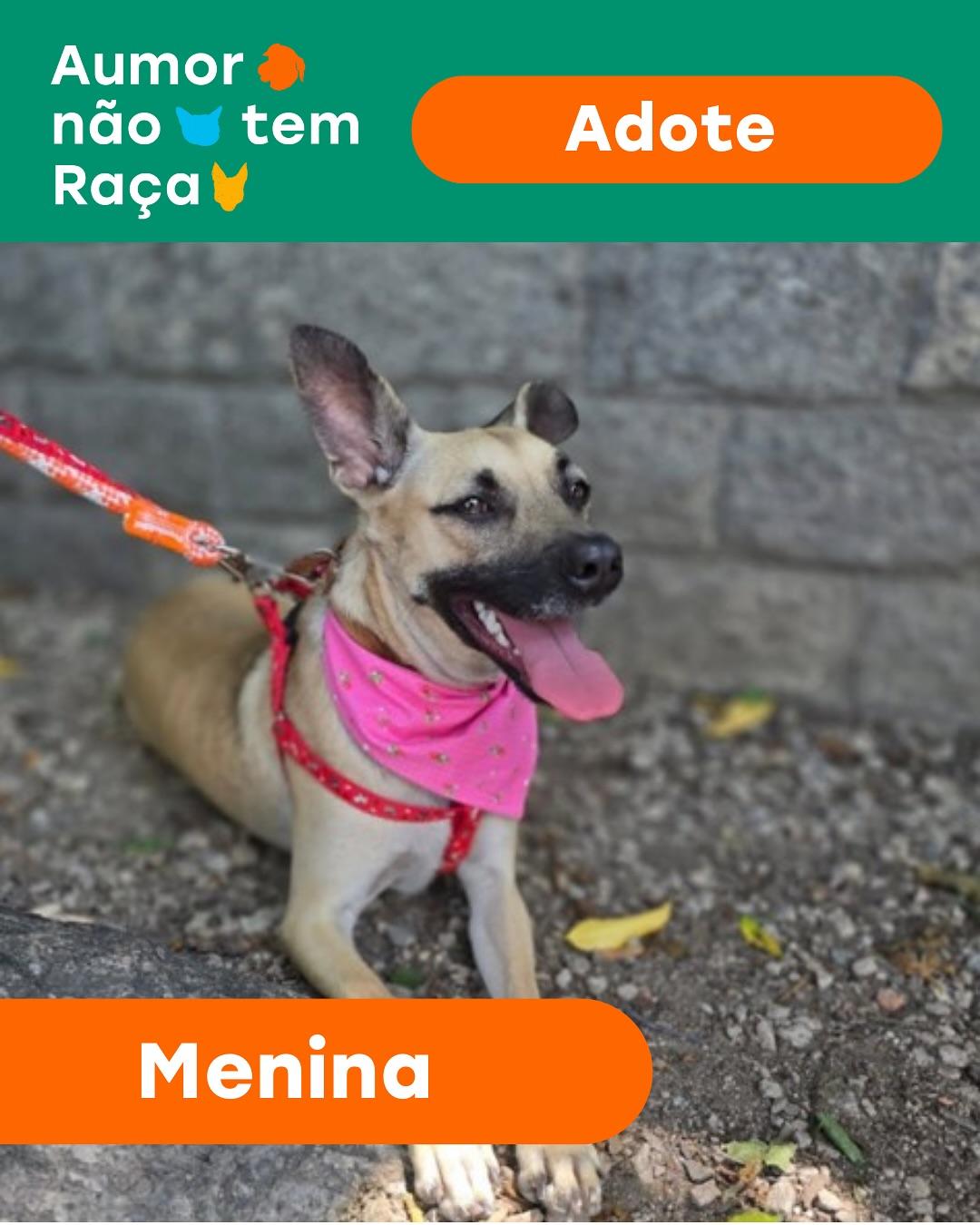 Menina