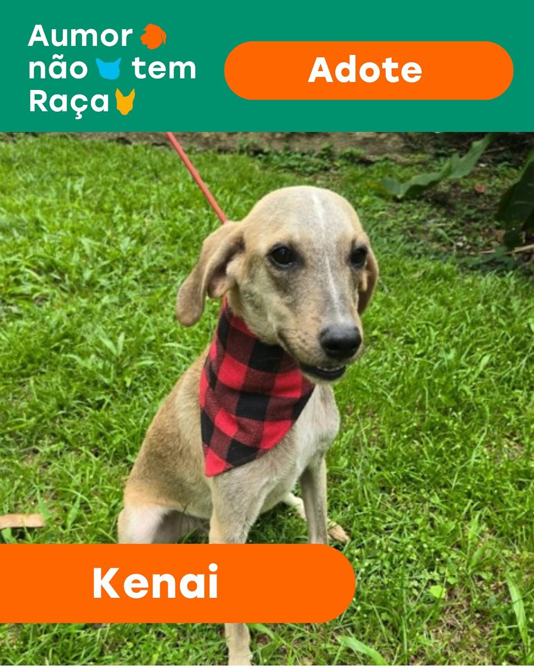 Kenai