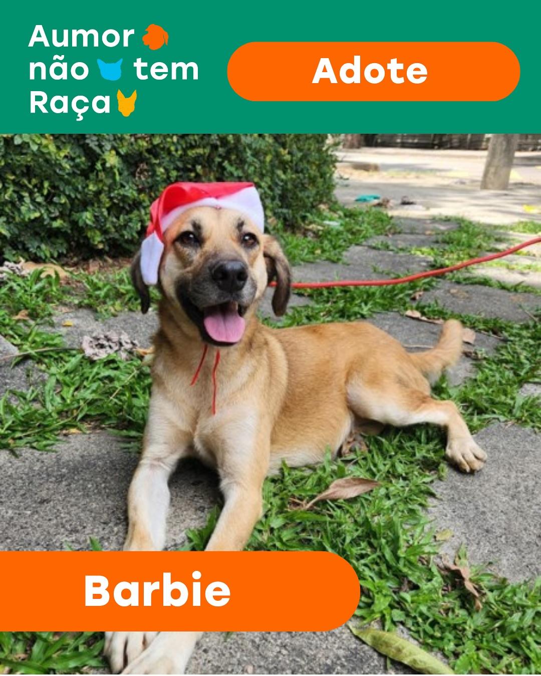 Barbie