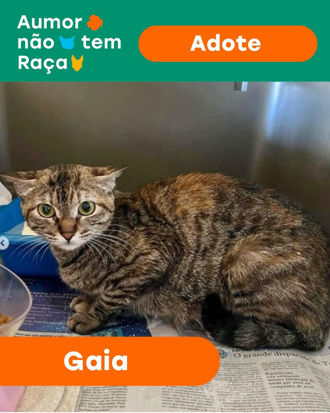 Gaia