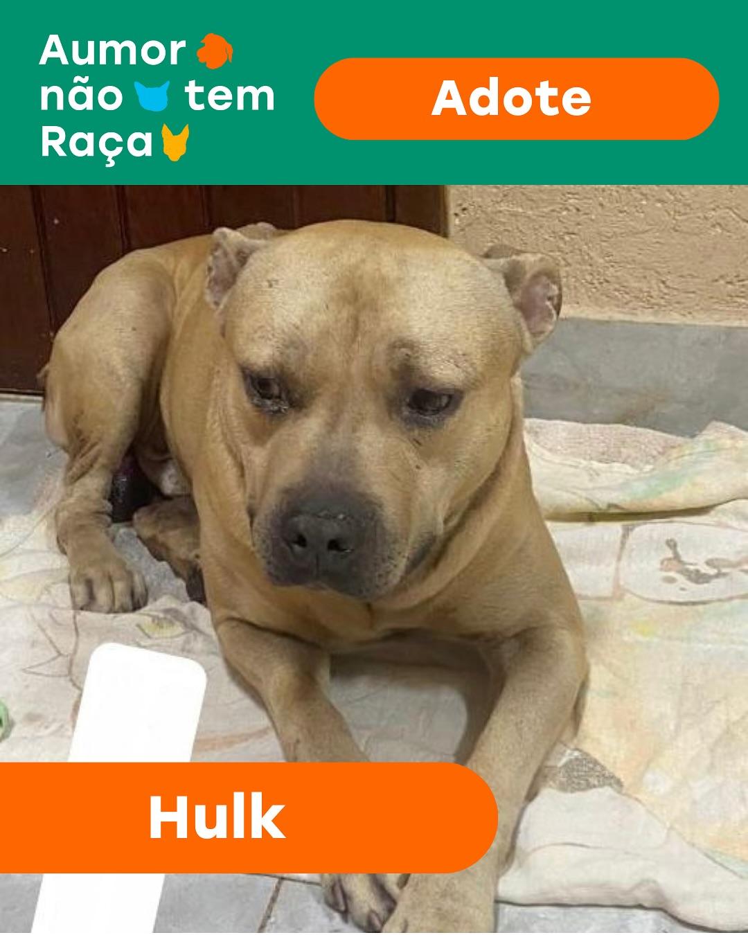 Hulk