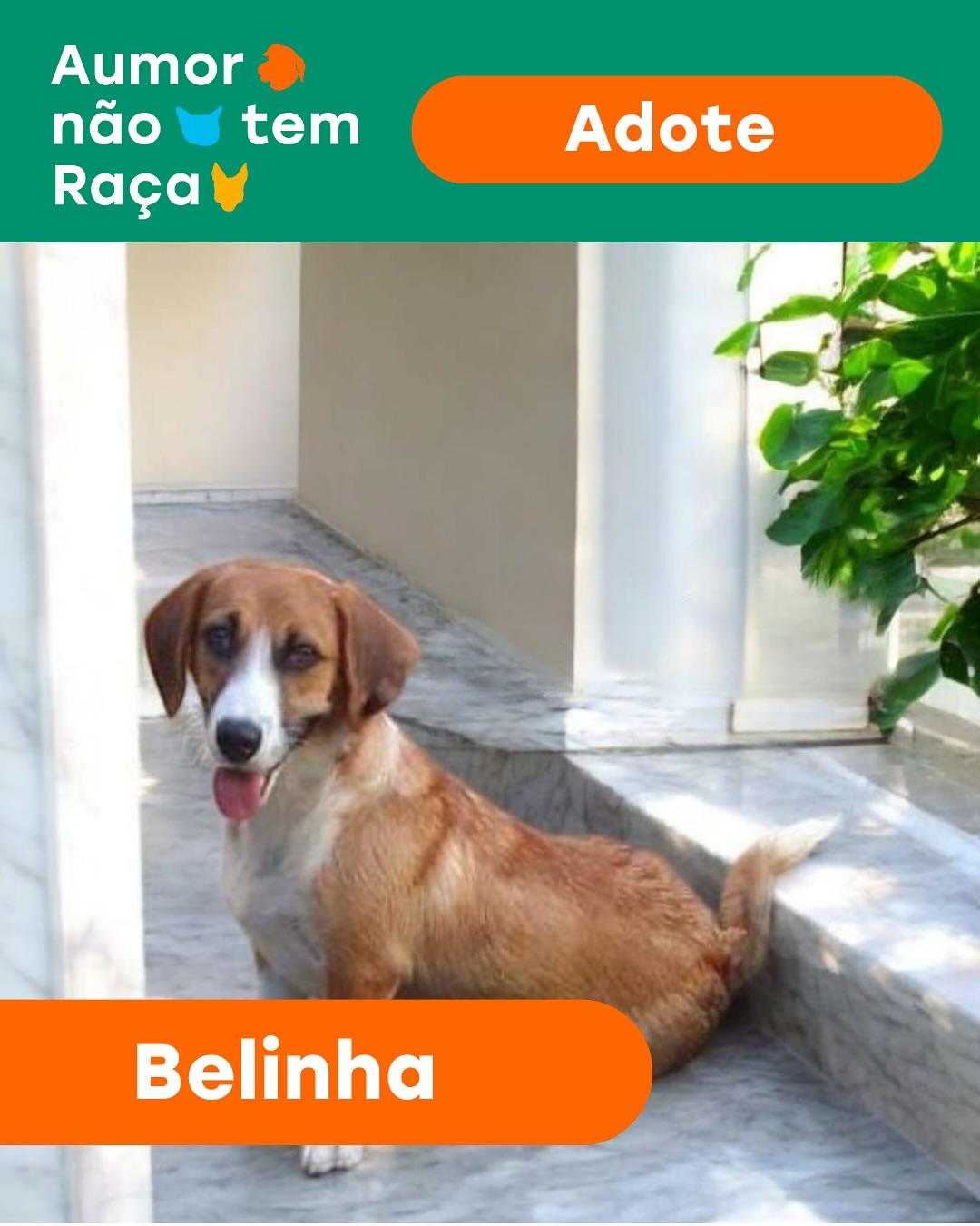 Belinha