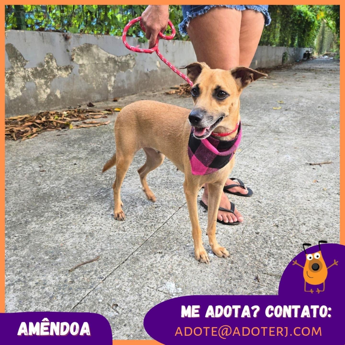 Amêndoa