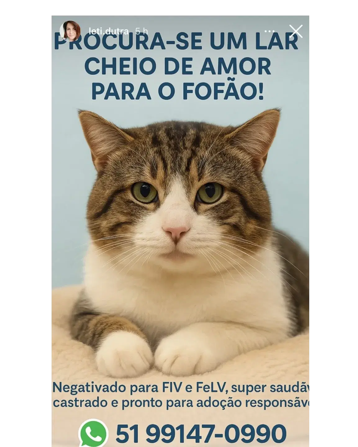Fofão