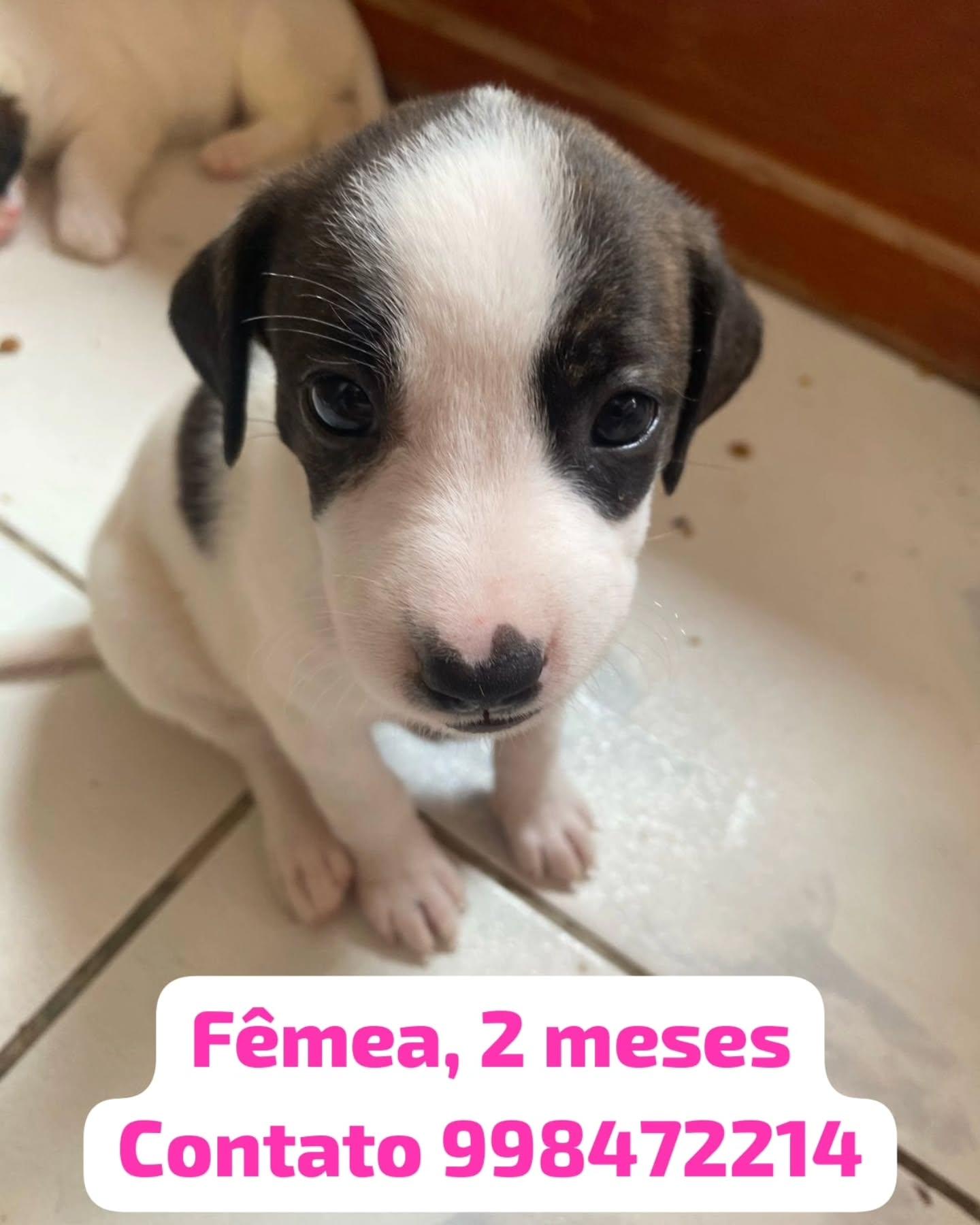Sem Nome
