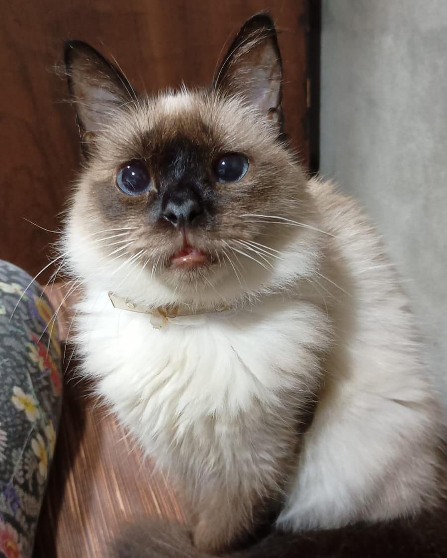 Minnie