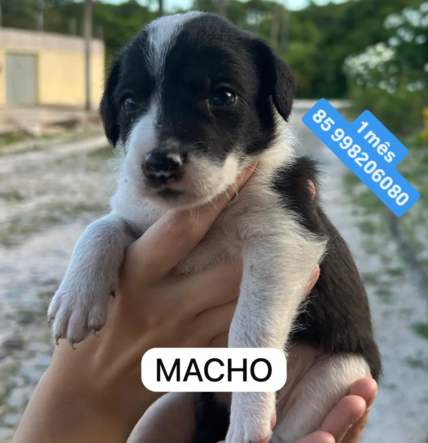Sem Nome