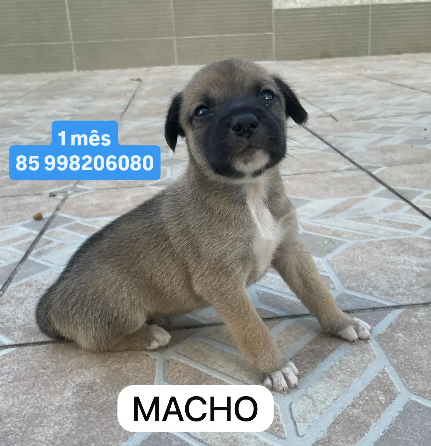 Sem Nome