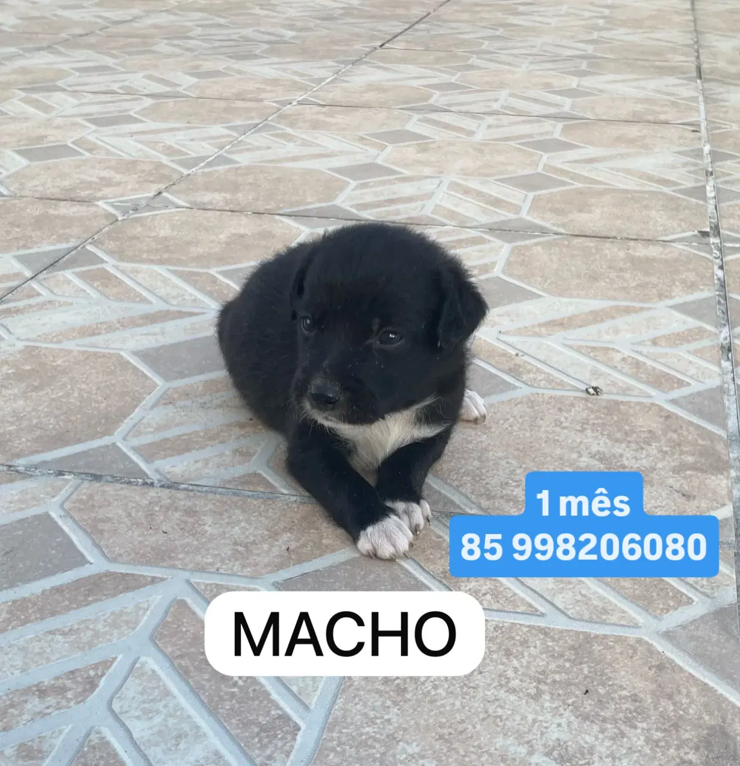 Sem Nome