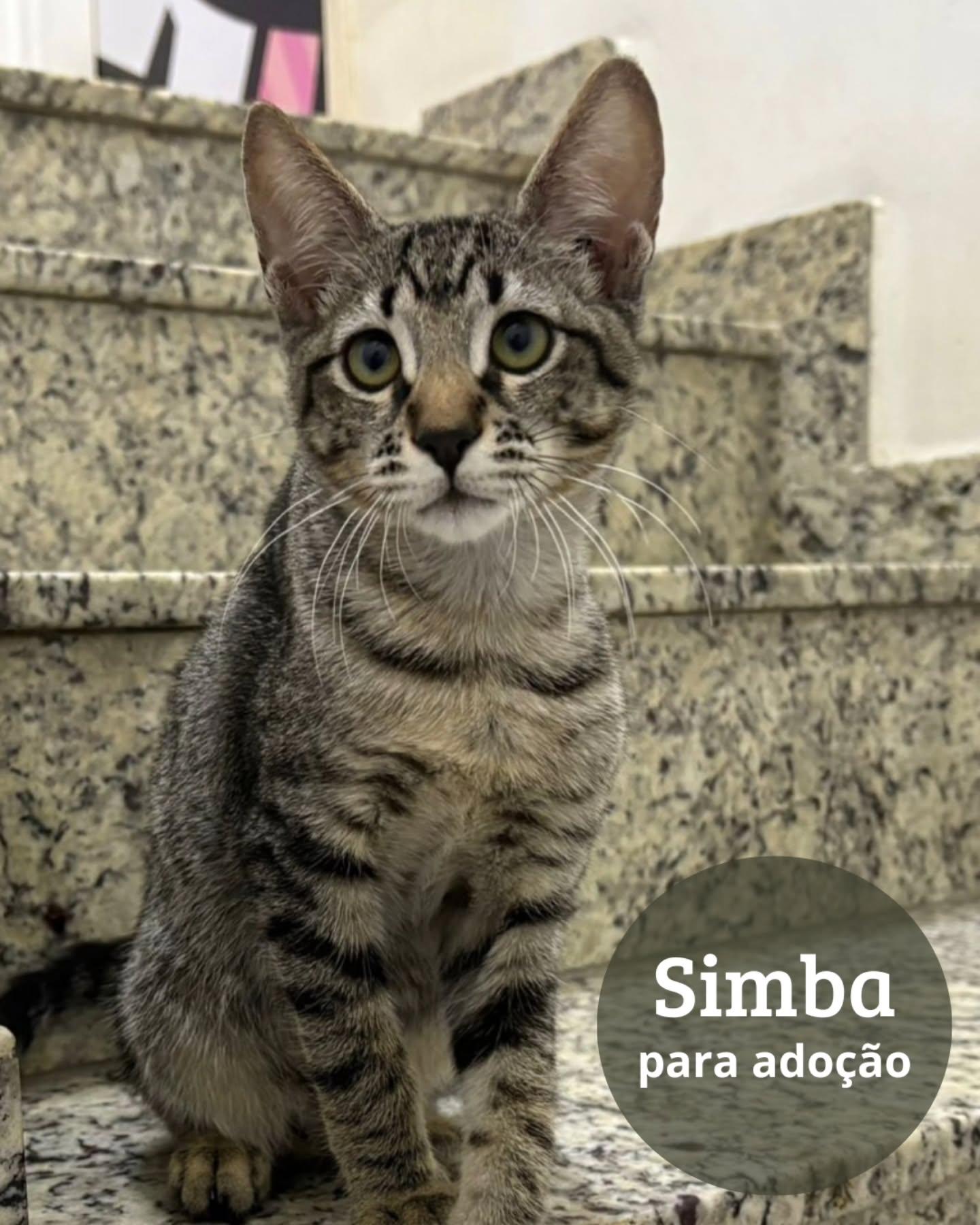 Simba