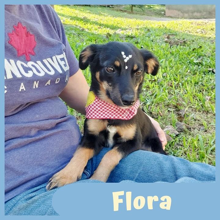 Flora