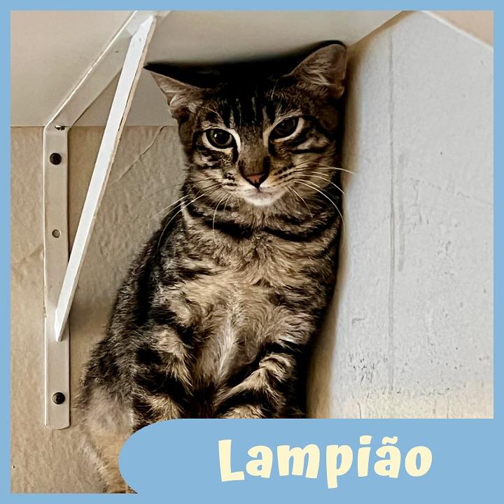Lampião