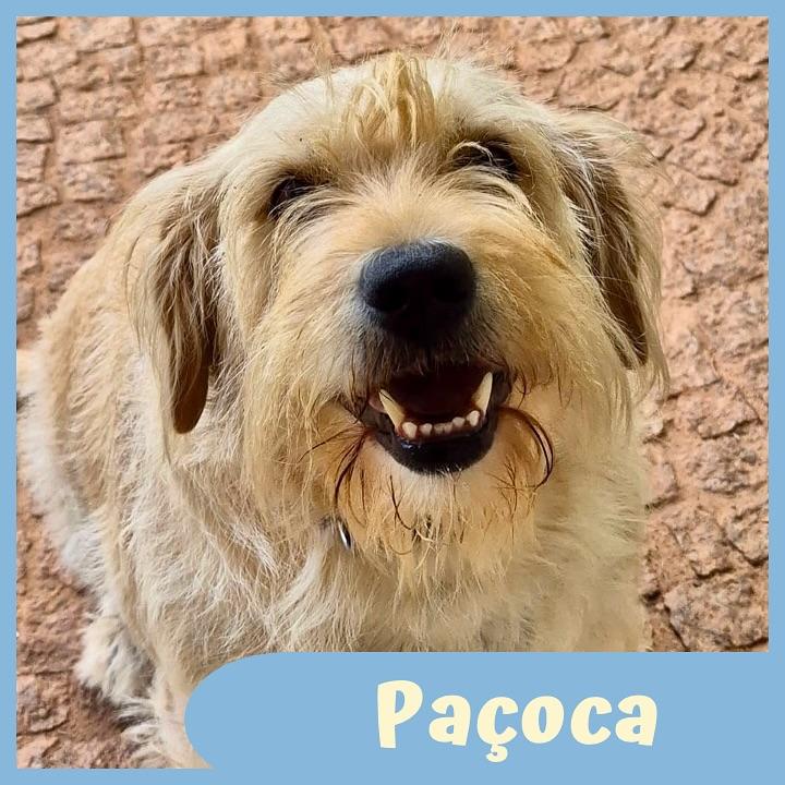 Paçoca