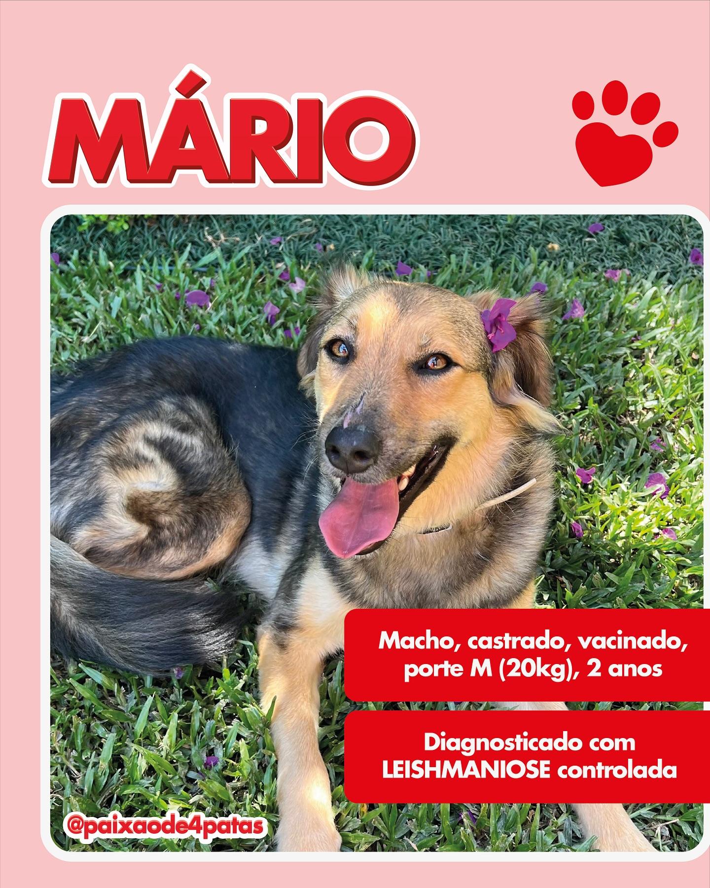 Mário