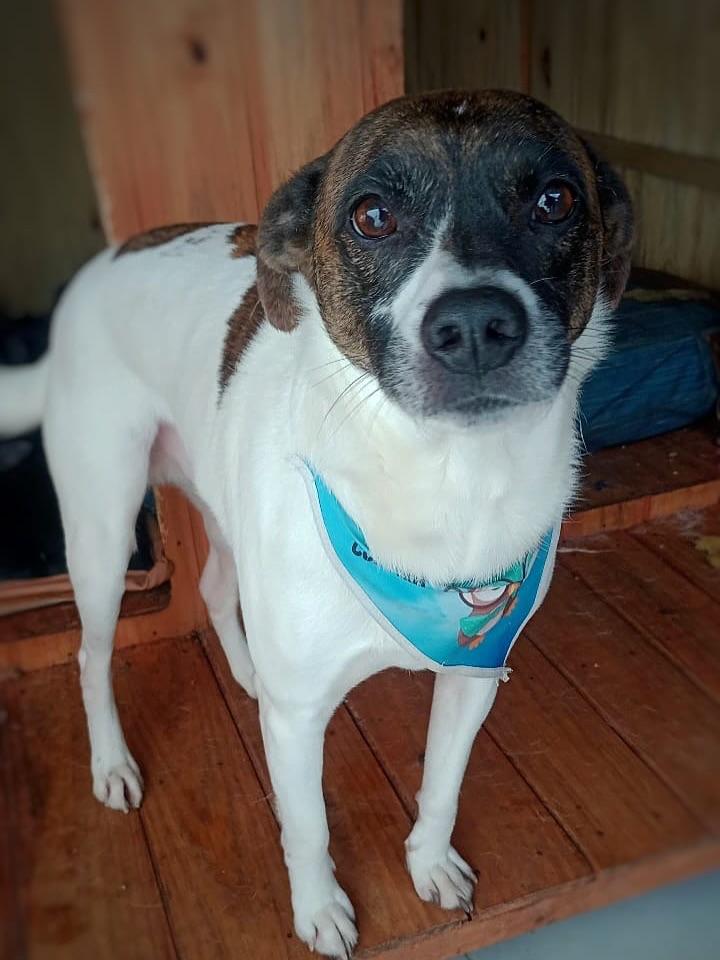 Zeus