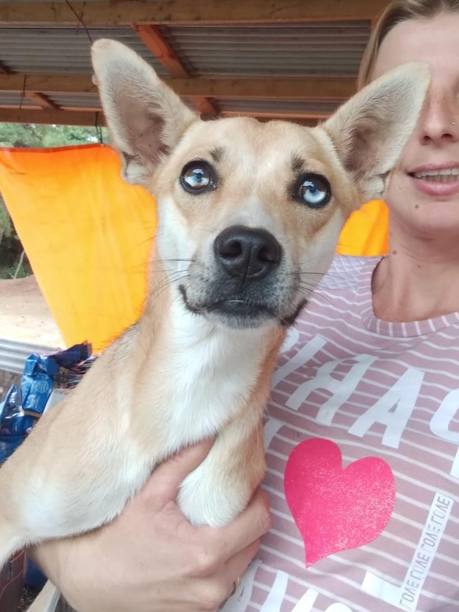 Maitê