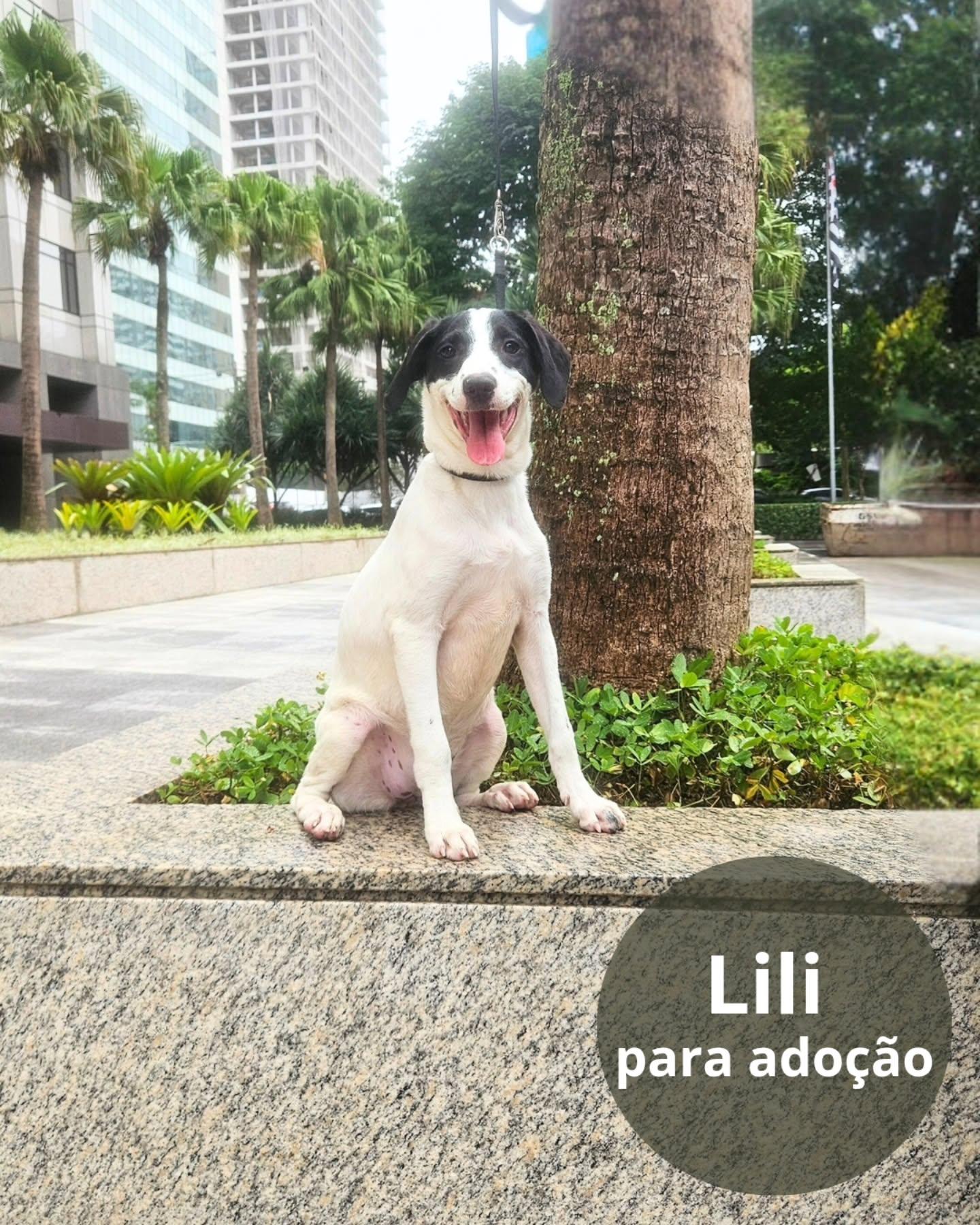 Lili