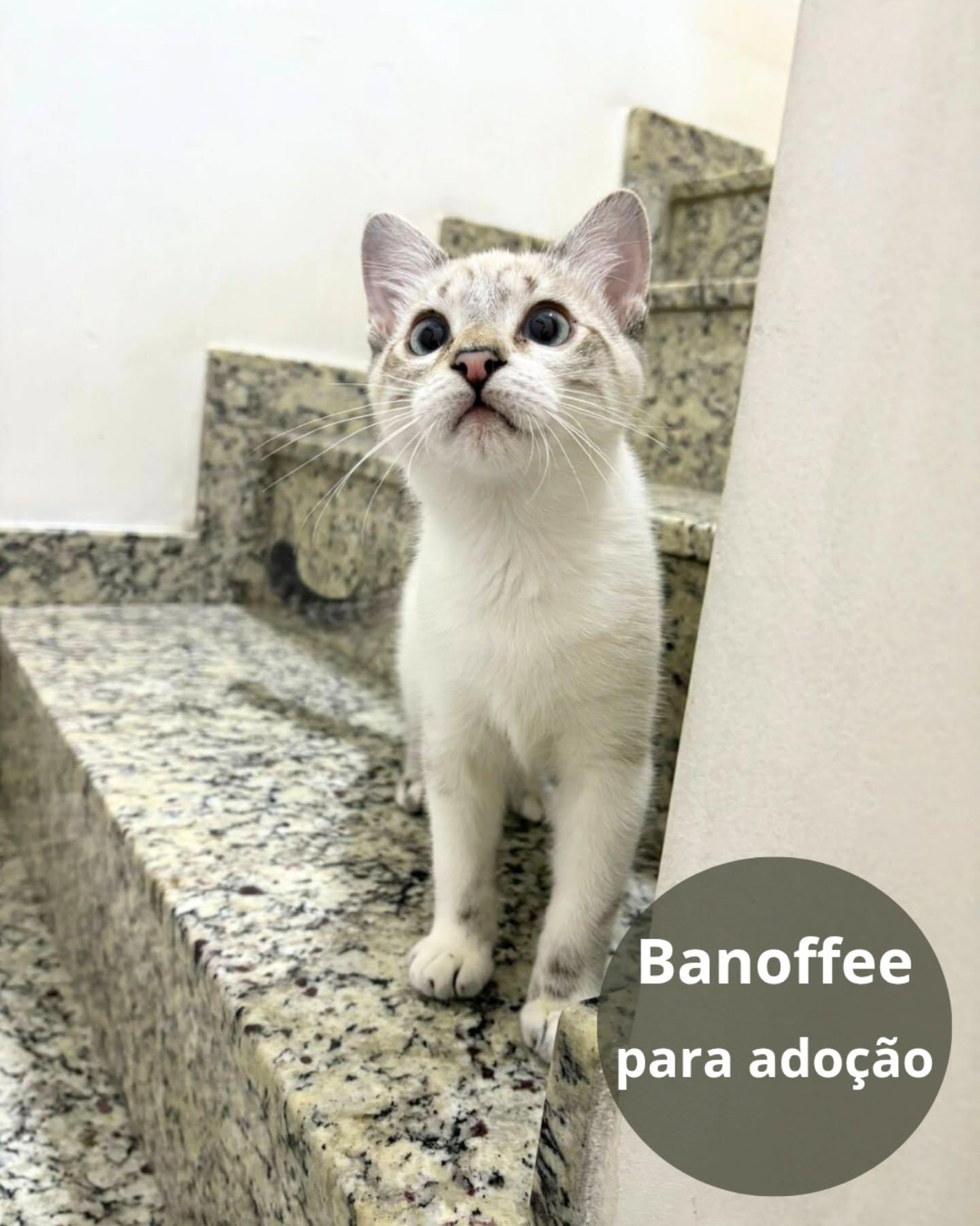 Banoffee