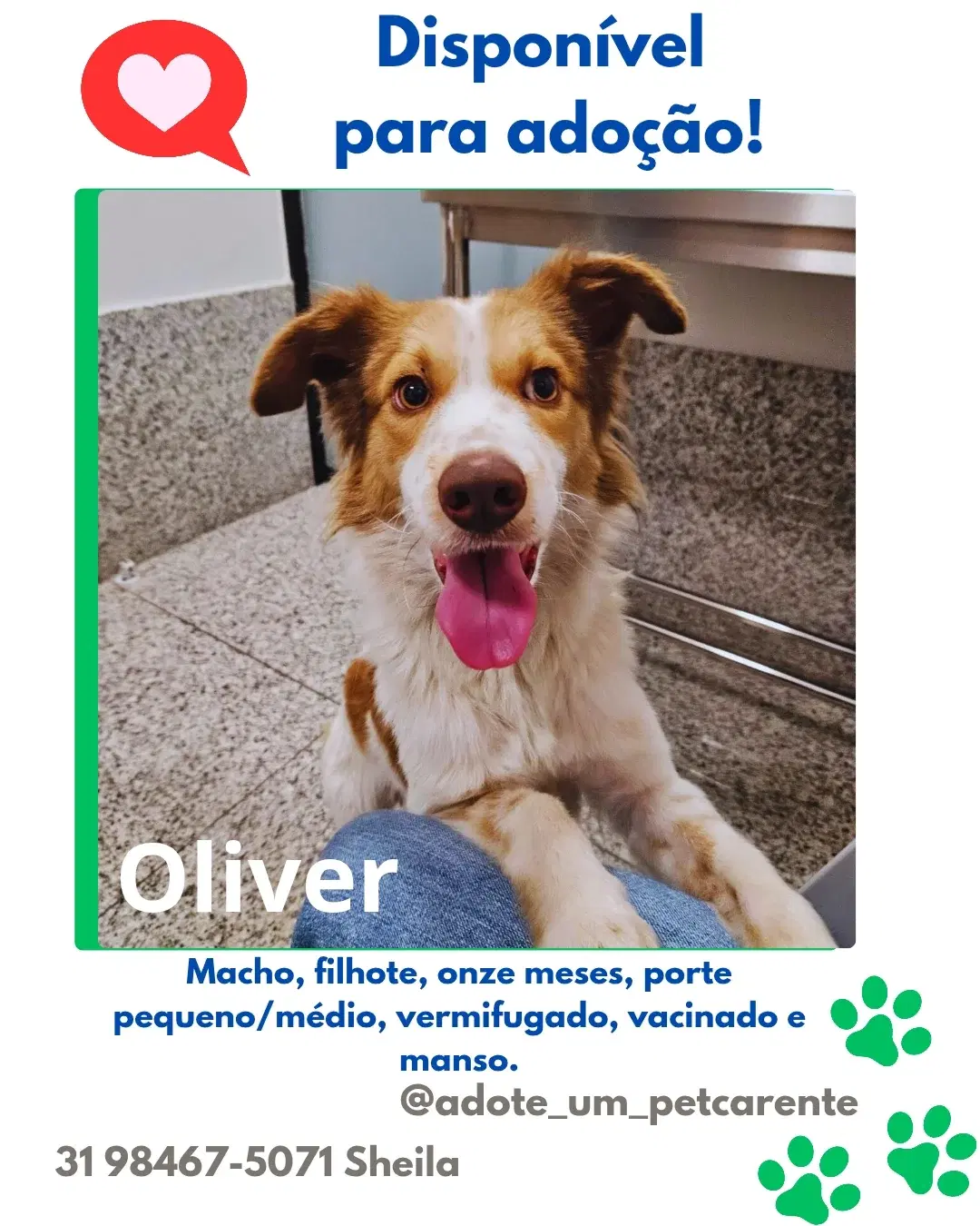 Oliver