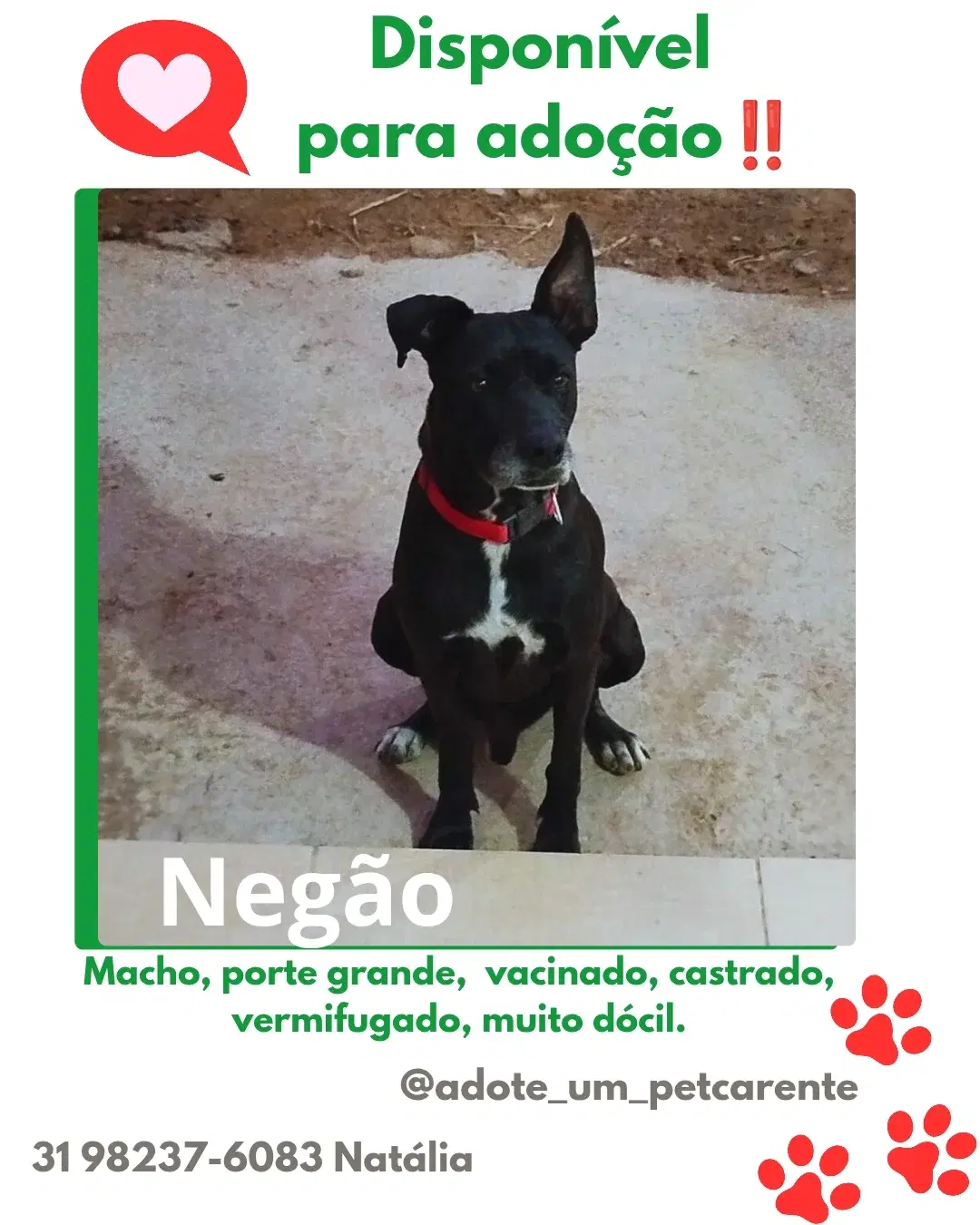 Negão