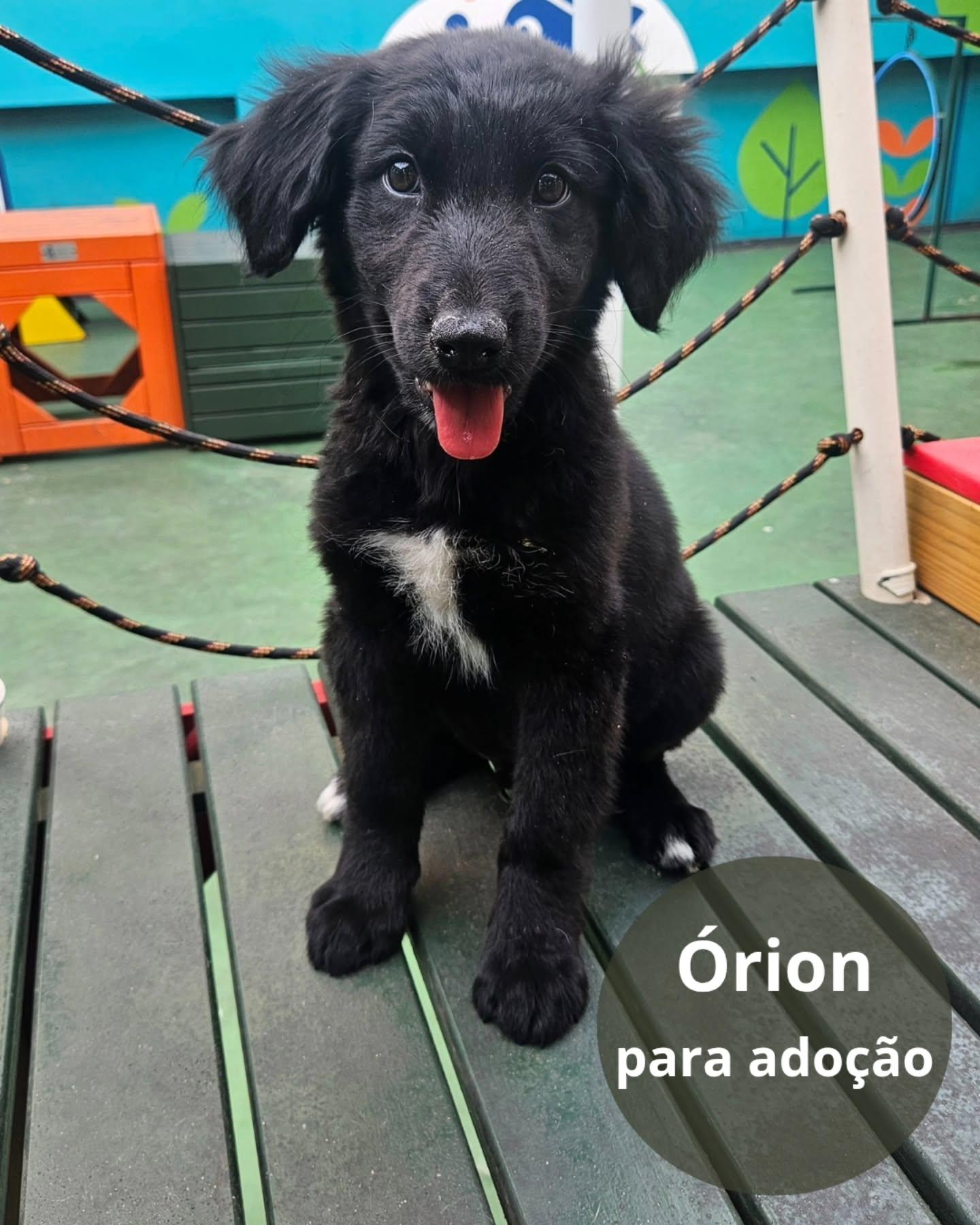Órion