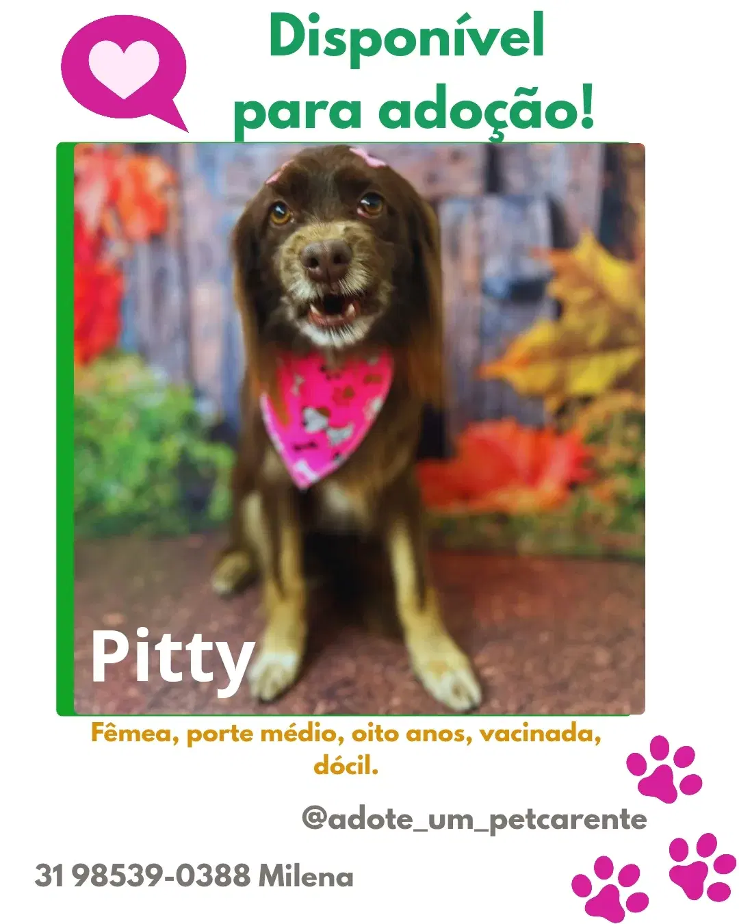 Pitty